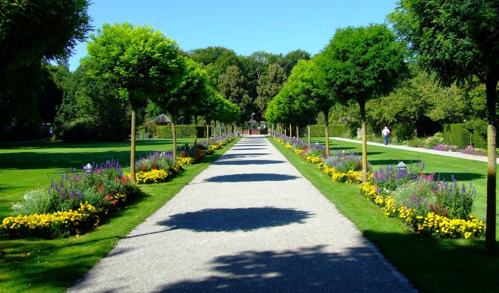 Complete garden landscaping and maintenance services in Dubai
