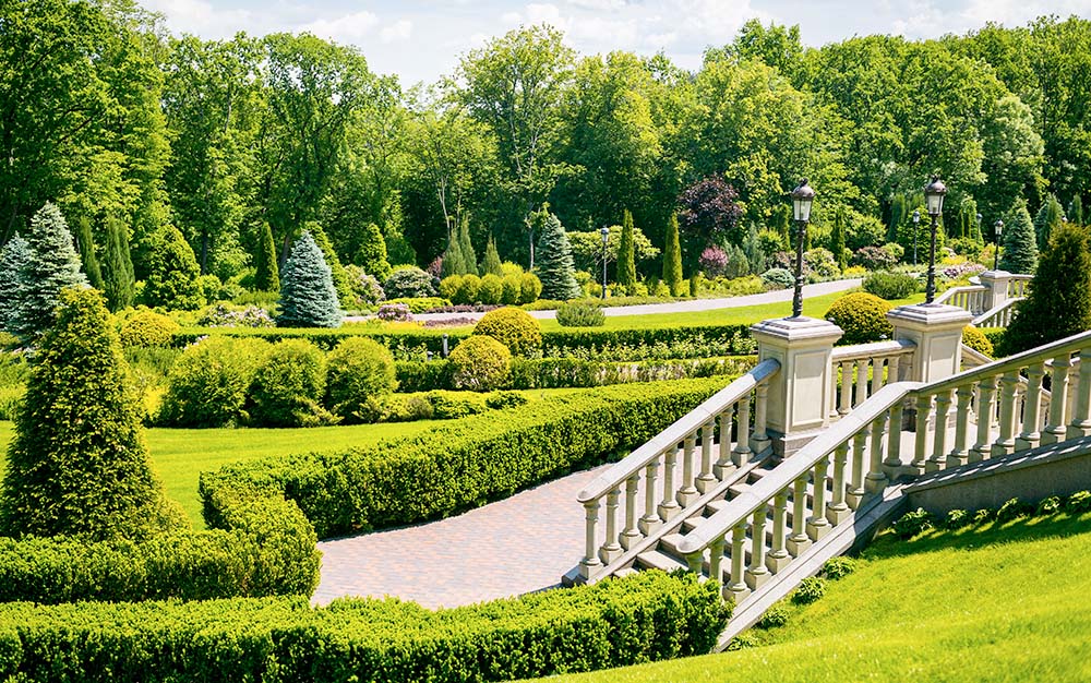 Trusted landscaping company delivering quality services in Dubai